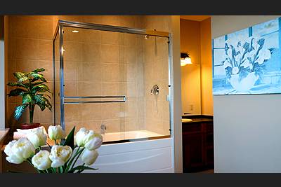 Soaker tub and shower